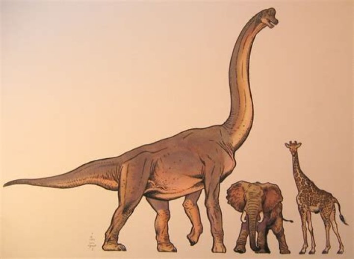 Are giraffes related to dinosaurs?