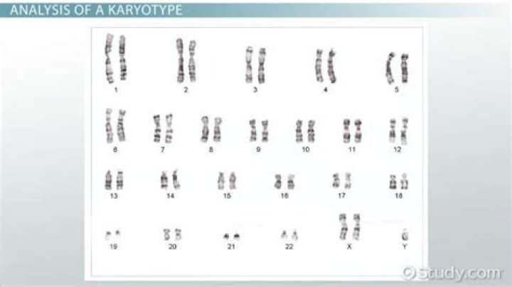 Are karyotypes useful to doctors?