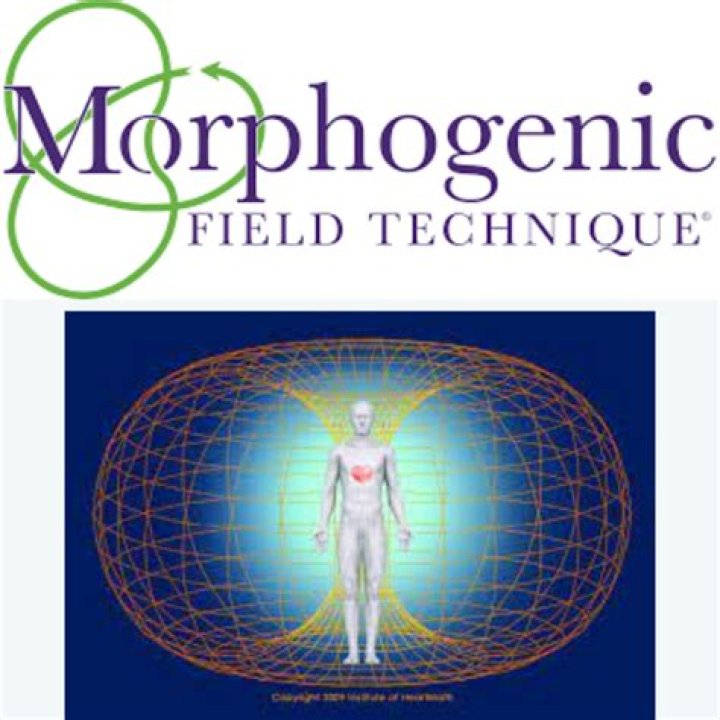 Are morphogenetic fields real?
