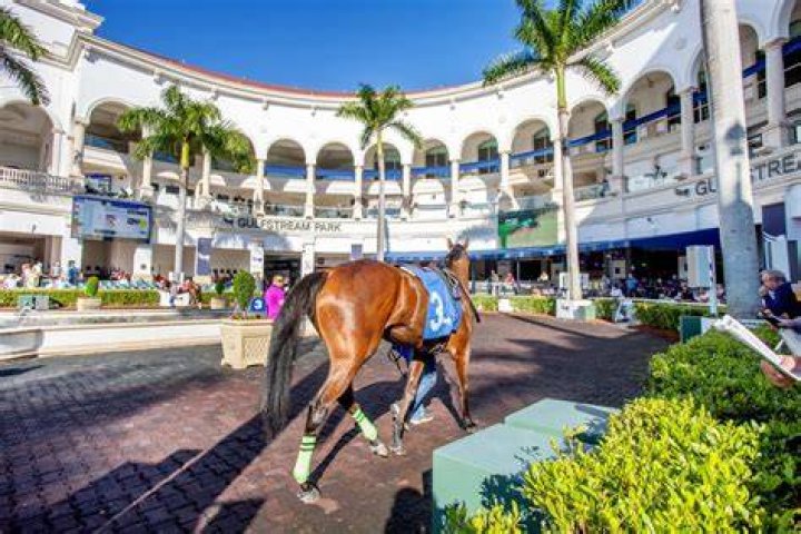 Are patrons allowed at gulfstream park?