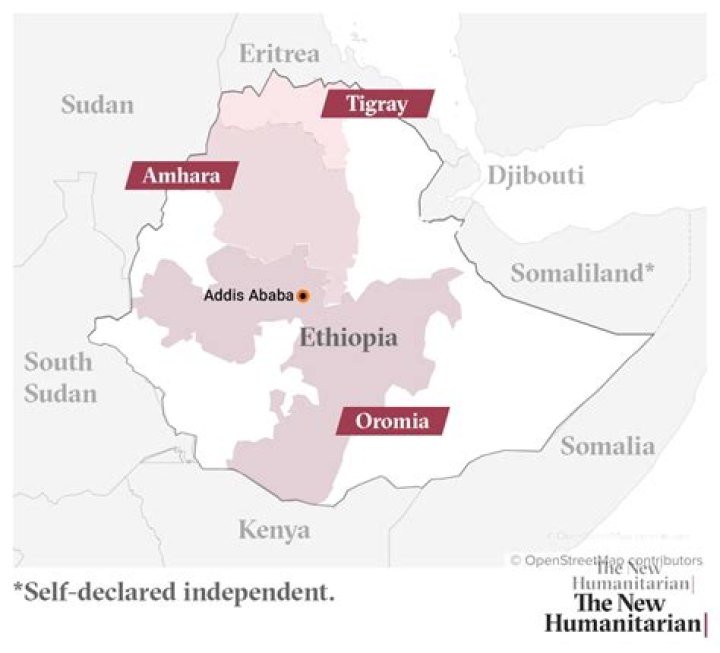 Are tigray and amhara related?