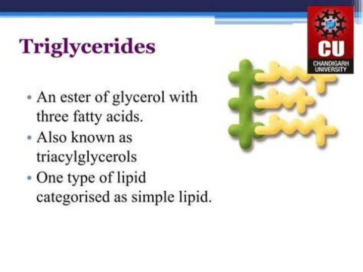 Are triglycerides good or bad?