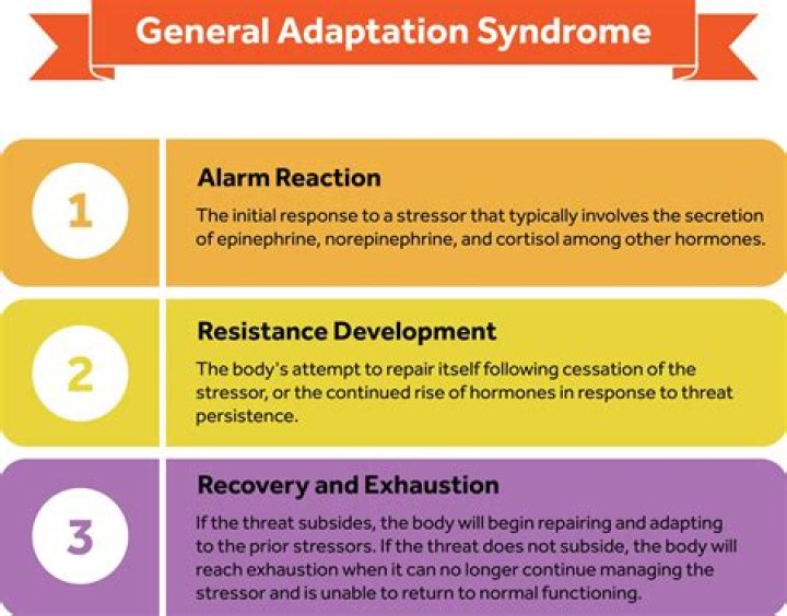At are the features of general adaptation syndrome?