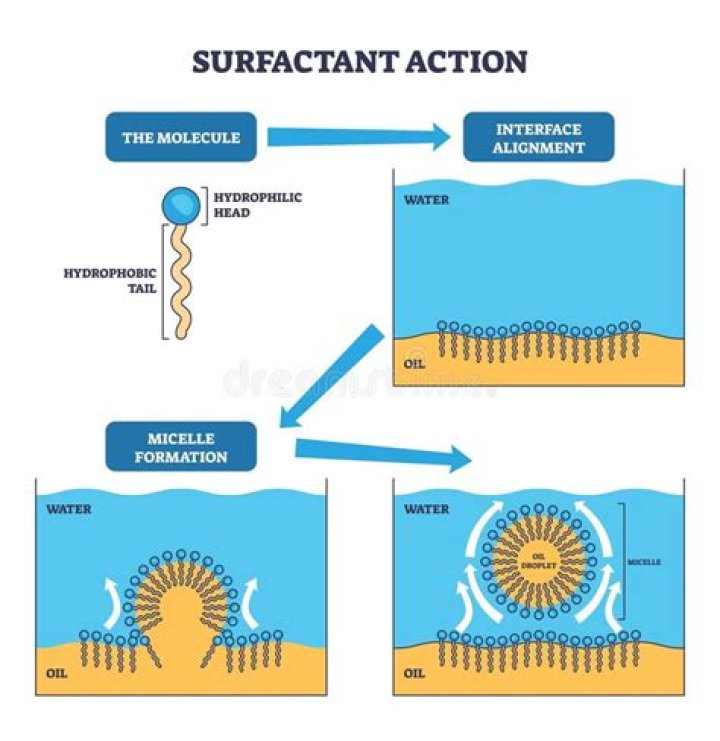 At cmc the surfactant molecules?