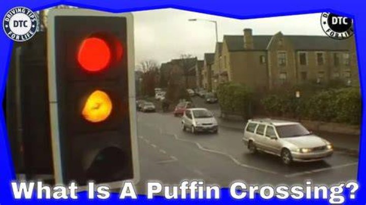At puffin crossing which light will not?