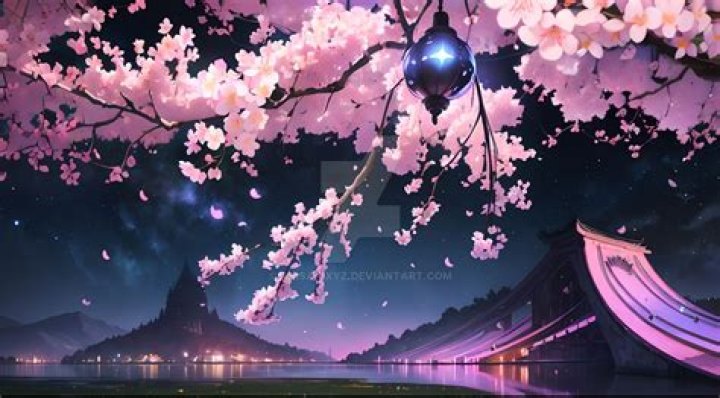 By cherry blossom tree?