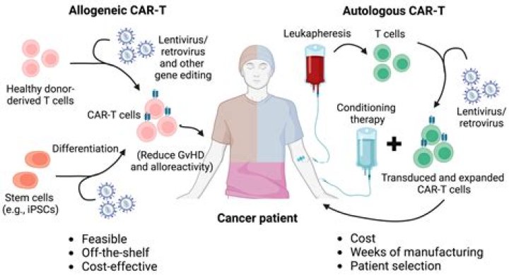 Can autologous stem cells cause cancer?