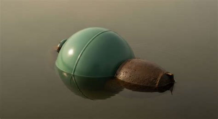 Can i submerged bio balls?