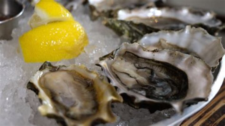 Can oysters make you sick?
