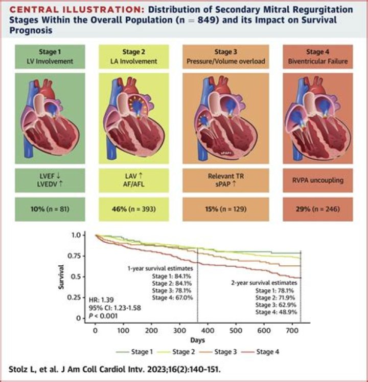 Can trivial mitral regurgitation progress?