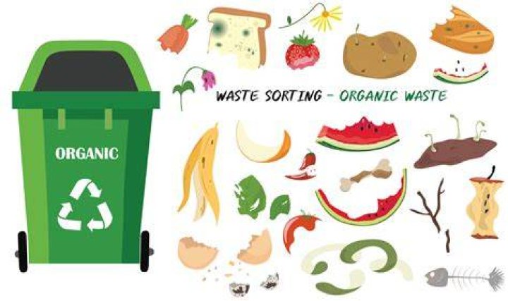 Can vegetable peelings go in green bin?