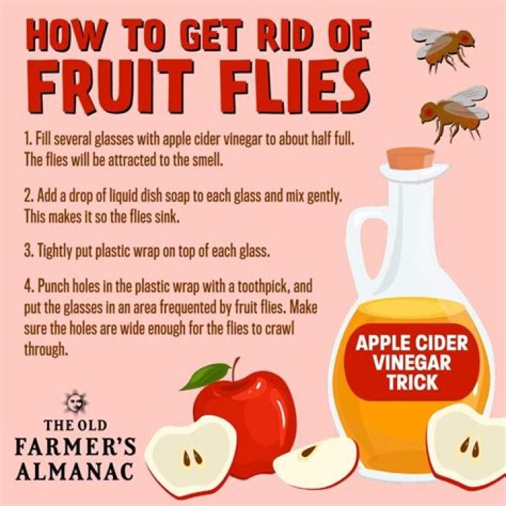 Can you get rid of cooties?
