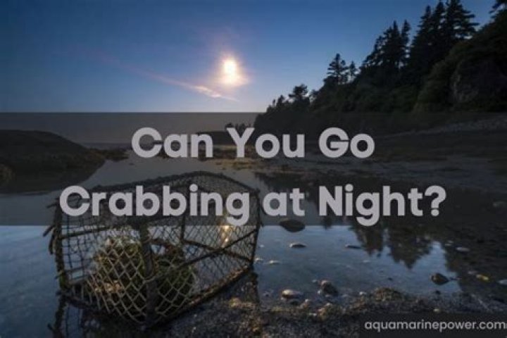 Can you go crabbing at night?