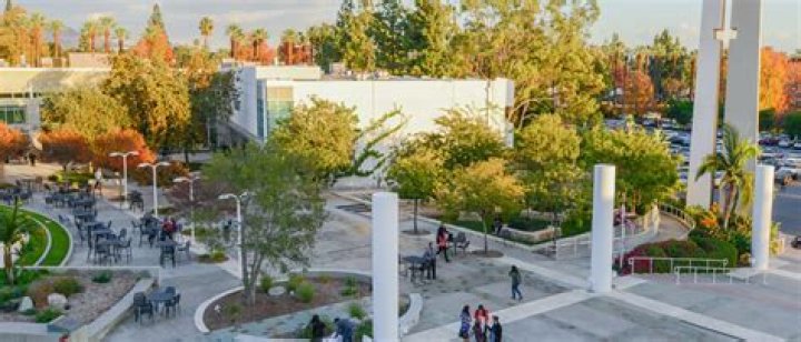 Can you intercalate at a different university?