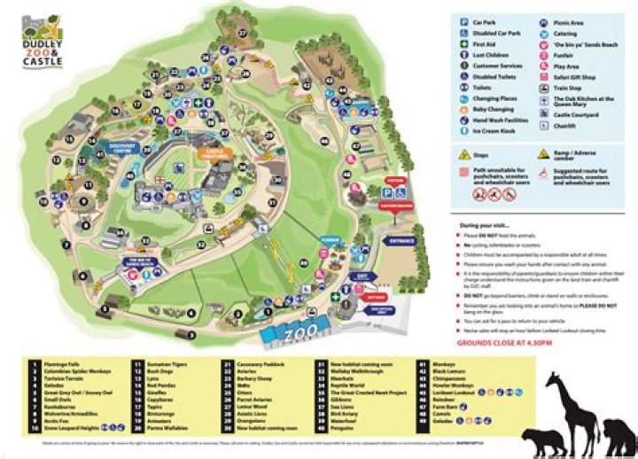 Can you take a picnic to dudley zoo?