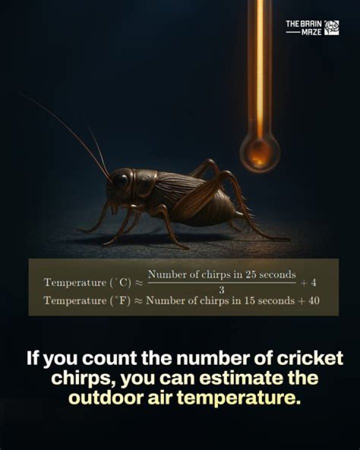 Can you tell the temperature by cricket chirps?