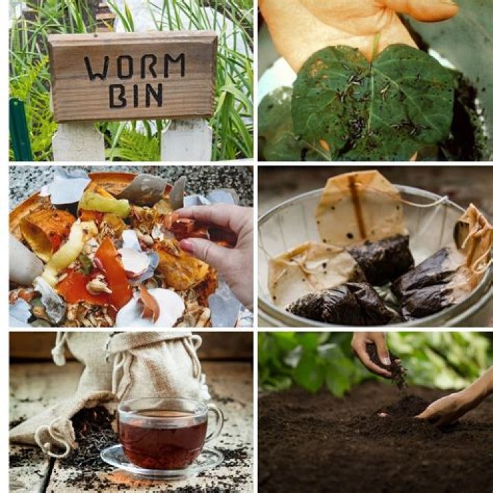 Can you use tea bags in the garden?