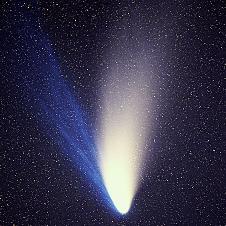 Could hale bopp hit earth?