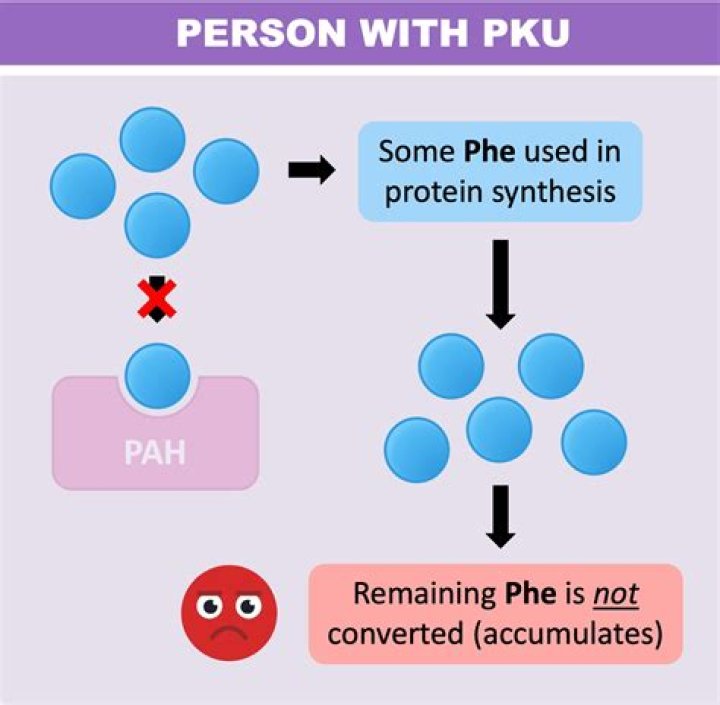 Could phenylketonuria be prevented?