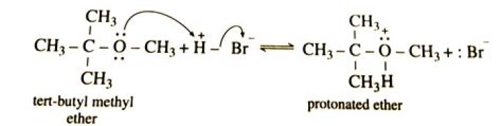 Do ethyl acetate and water react?