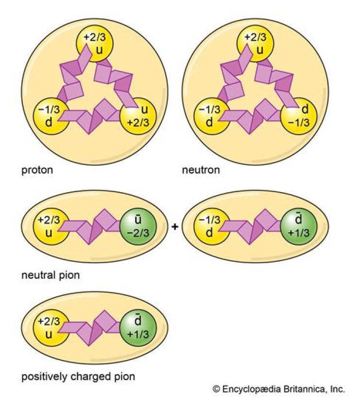 Do mesons decay into muons?
