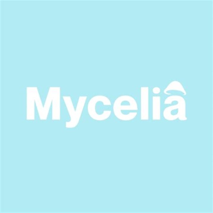 Do mucor possess mycelia?