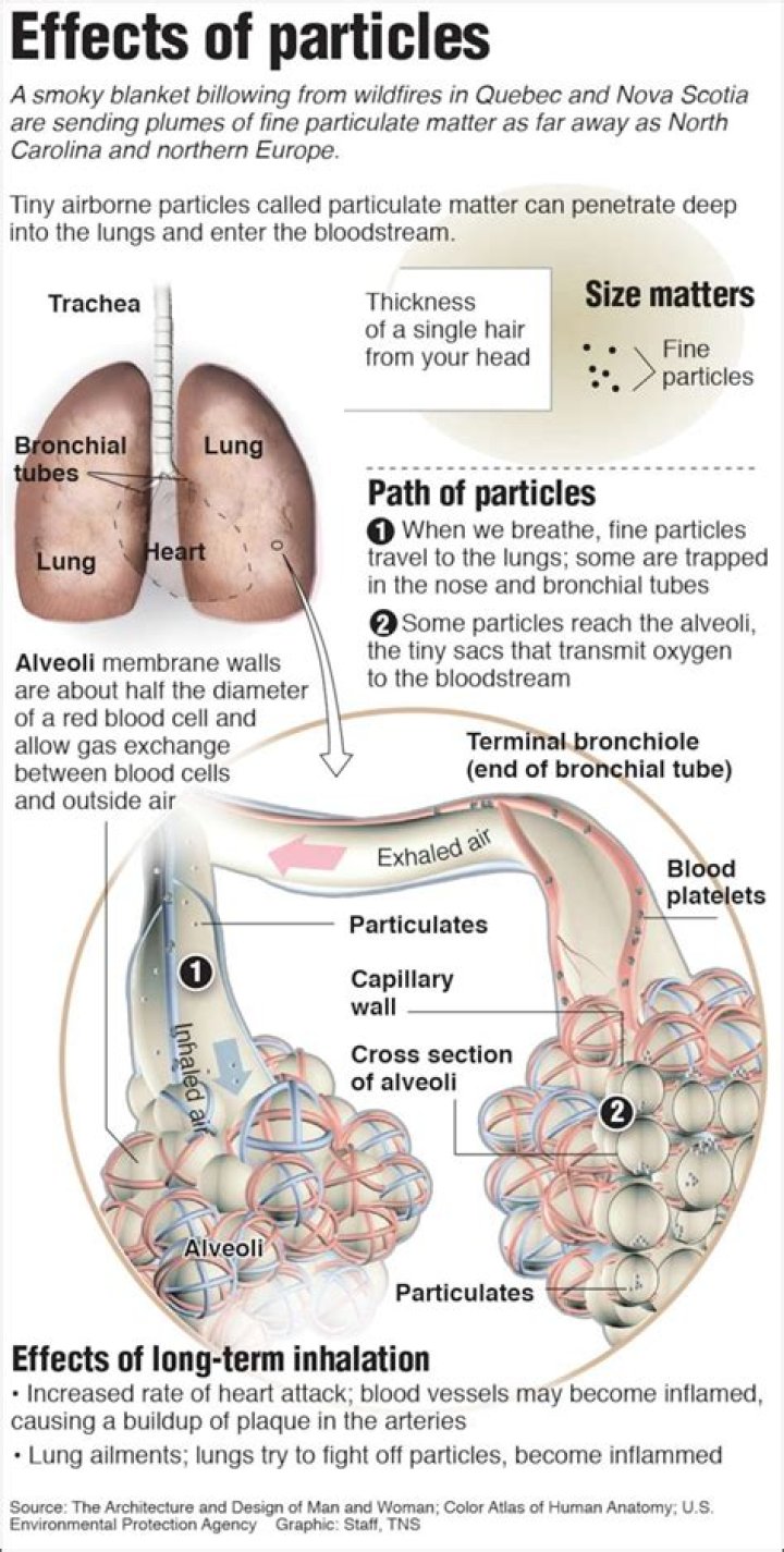 Do particulates cause photochemical smog?