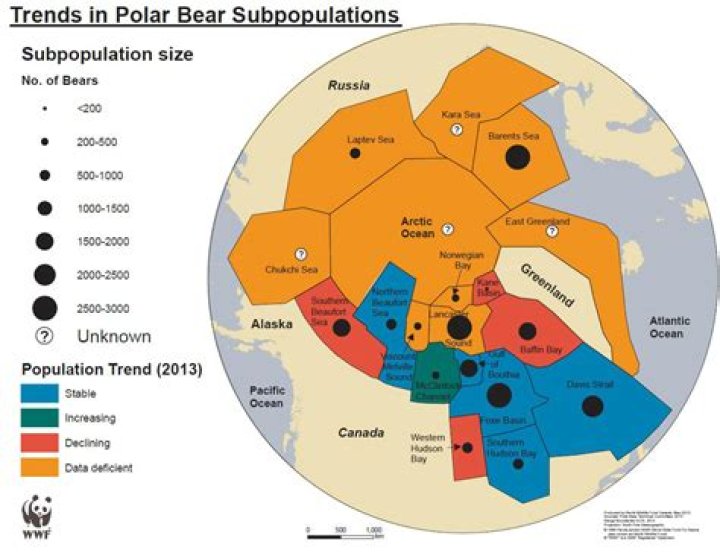 Do polar bears live in north america?