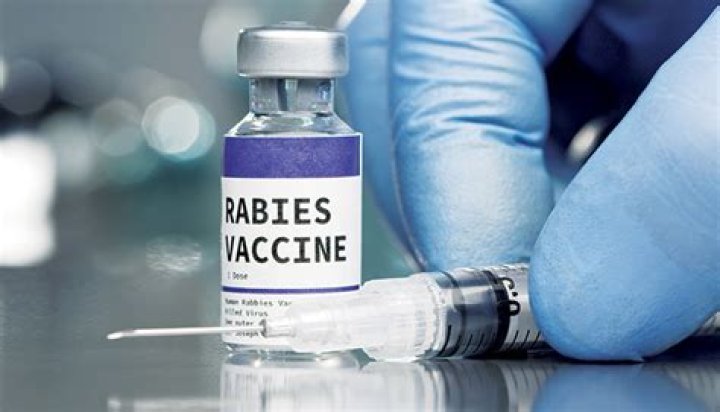 Do rabies shots hurt humans?