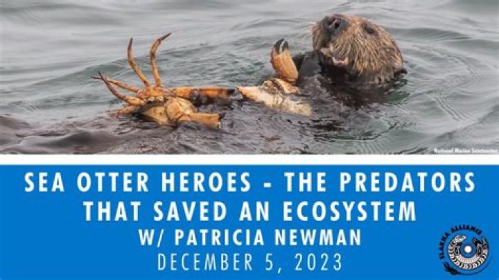 Do sea otters have predators?