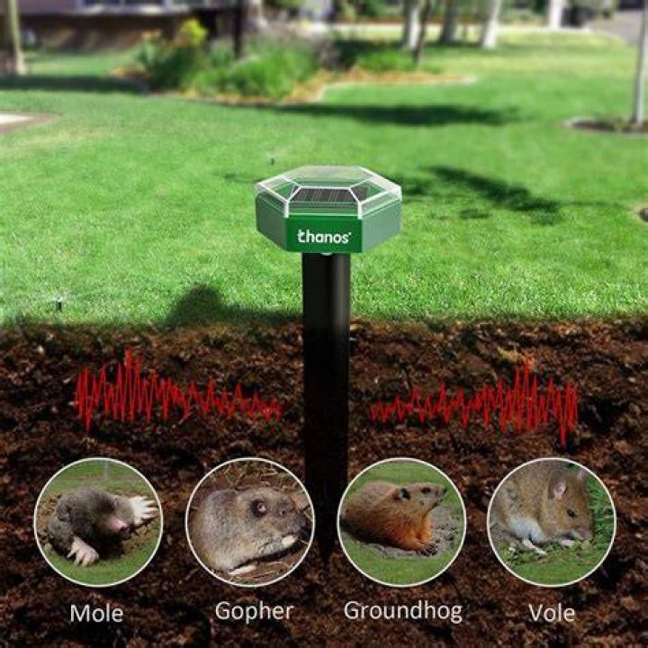 Do sonic gopher repellents work?