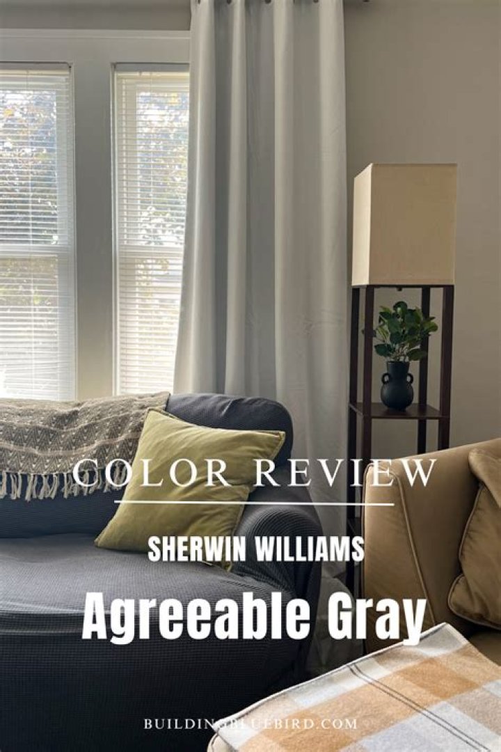 Does agreeable gray go with blue?