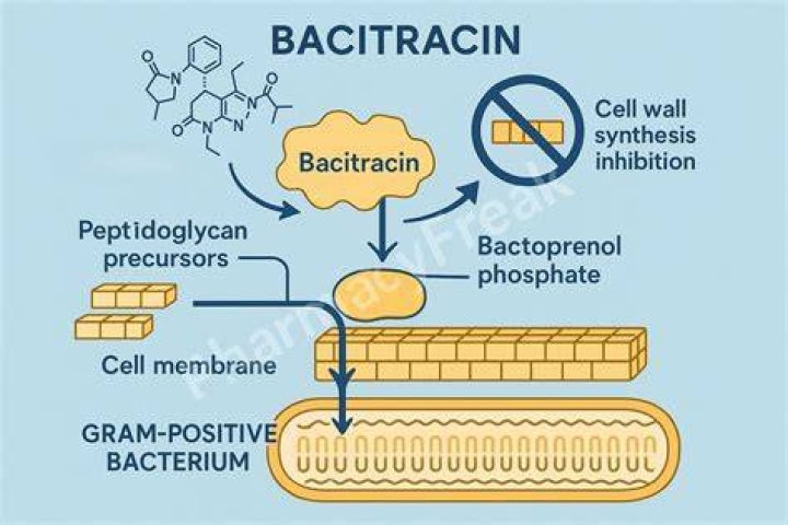 Does bacitracin contain sulfa?
