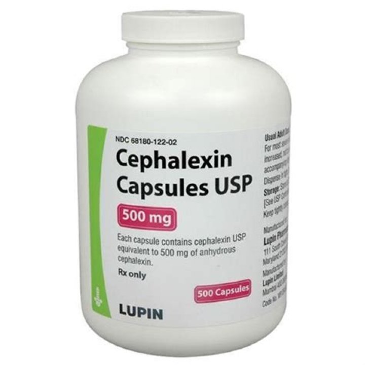 Does cephalexin contain penicillin?