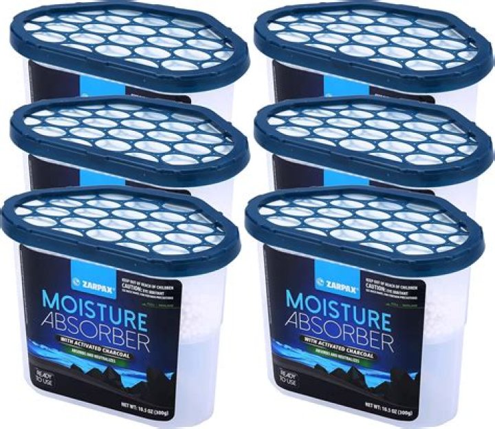 Does charcoal briquettes absorb moisture?