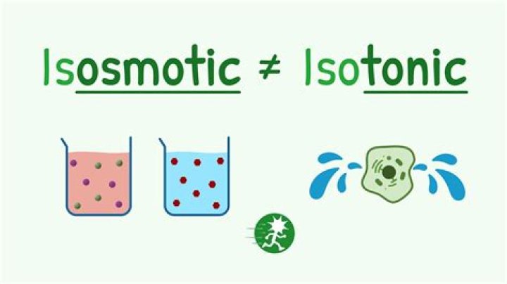 Does isotonic mean isosmotic?