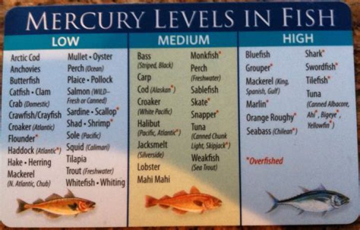 Does salmon have mercury?