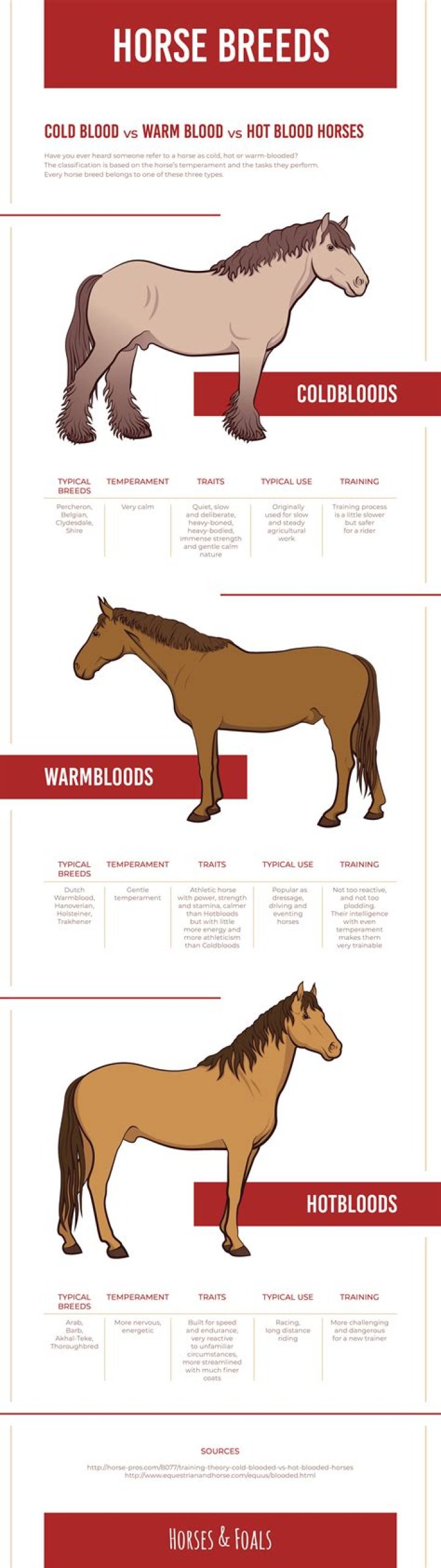 Does warm blooded have a hyphen?