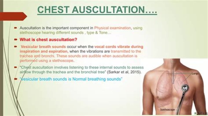 During auscultation where is the best landmark to assess s2?