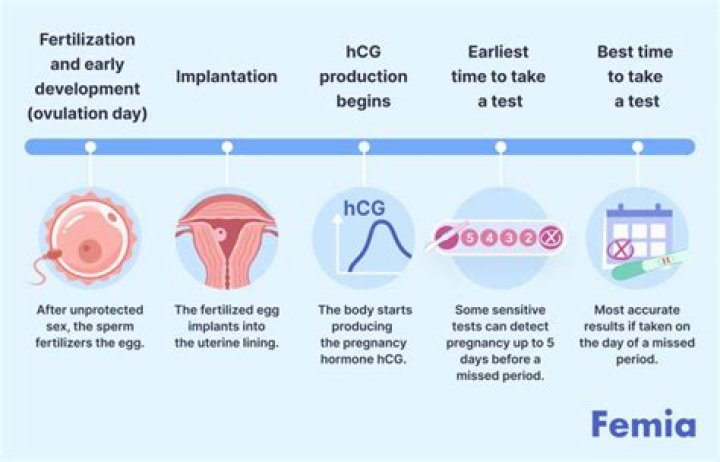 During conception should i feel anything?