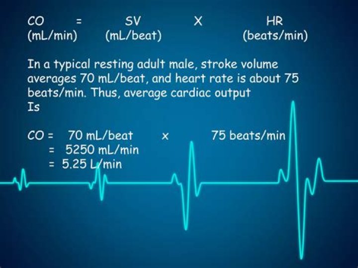 During exercise stroke volume?