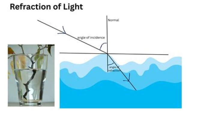 During refraction which of the following will change?