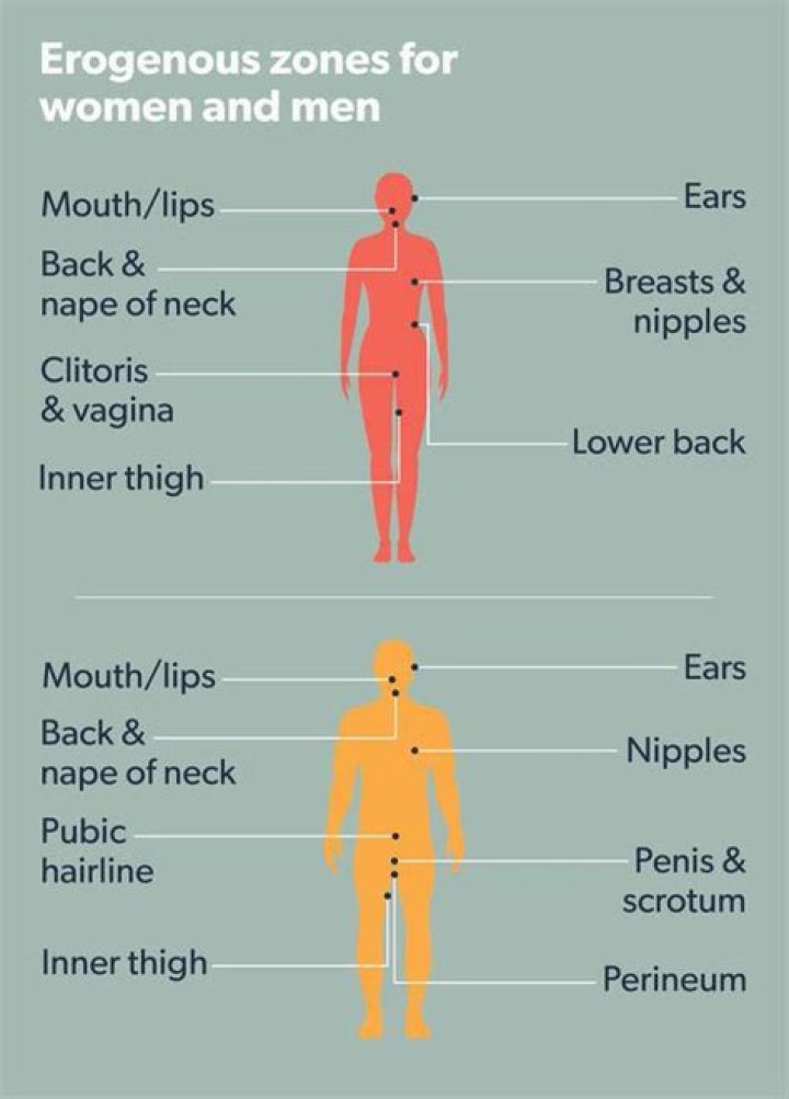 During which stage is there no erogenous zone?