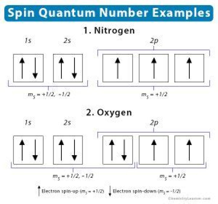 For spin quantum number?