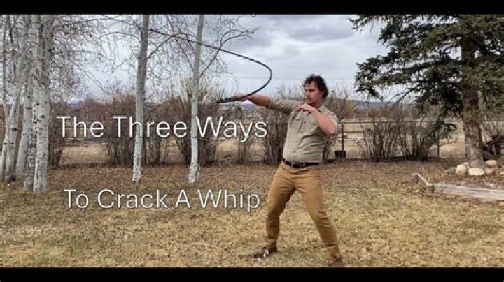 Has crack the whip?