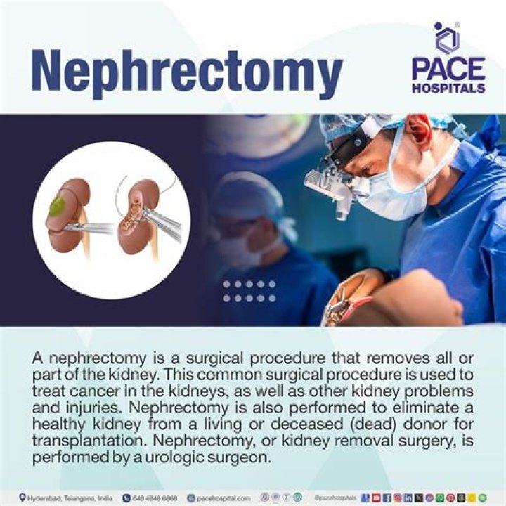 How do nephrectomy work?