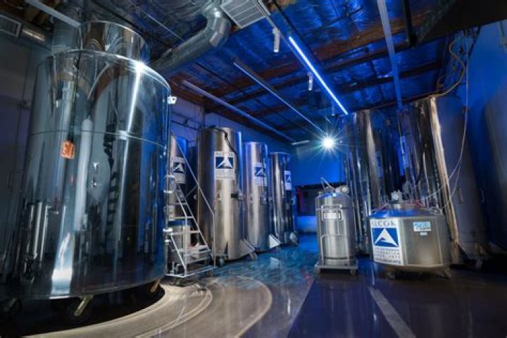 How does cryonics work?