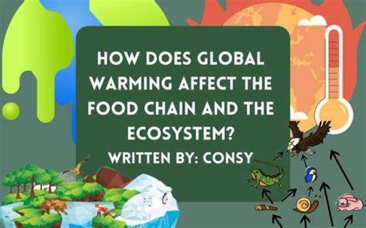 How does overhunting affect the food chain?