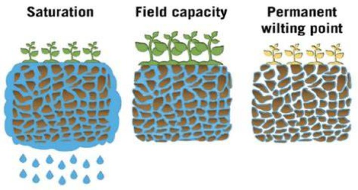 How does water affect soil?