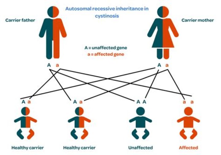 How is cystinosis treated?